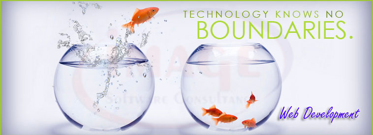 Web Development in Vadodara