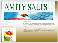 dotnet software web design and development in baroda