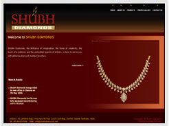 Dental Clinic in Baroda website