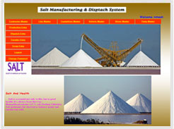 wordpress development training